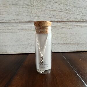 Silver Necklace in Glass Bottle - Message in a bottle